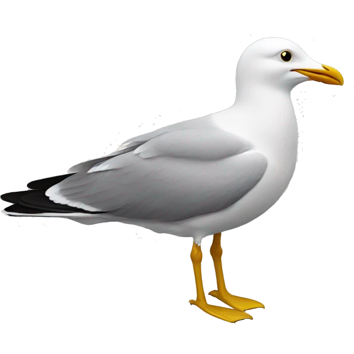 Seagull emoji