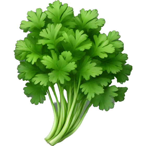 Cilantro with black background emoji