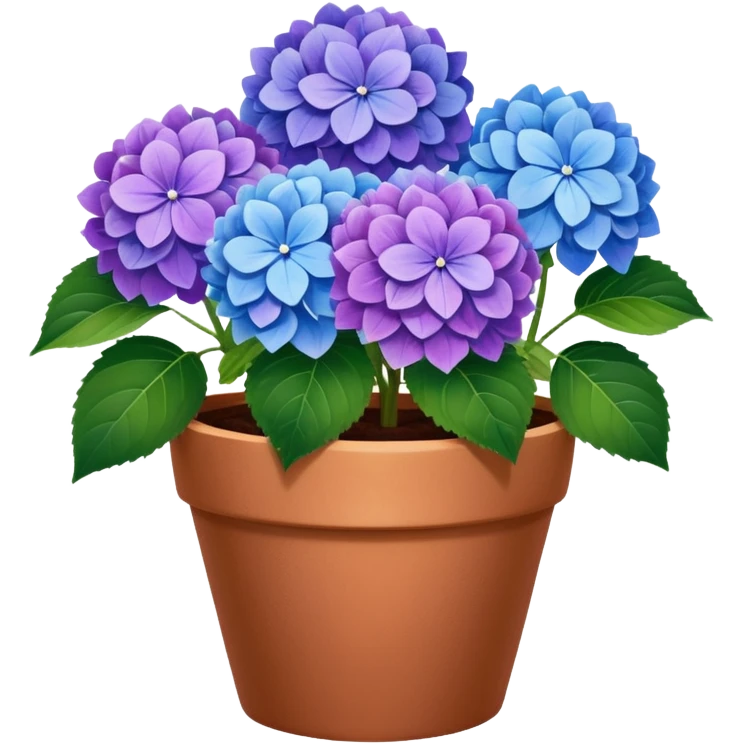 hydrangeas flower pot emoji