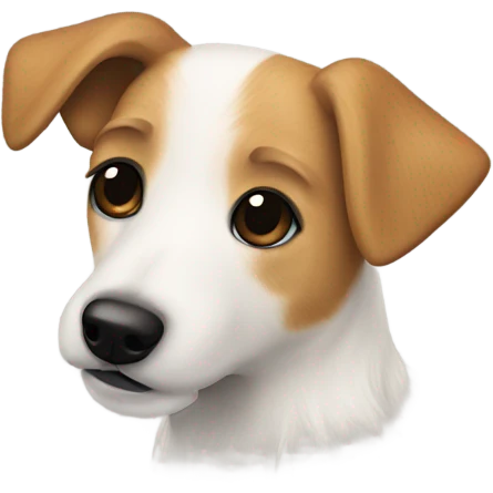 long hair jack russell with beige hair on the face and a black spot on the back emoji