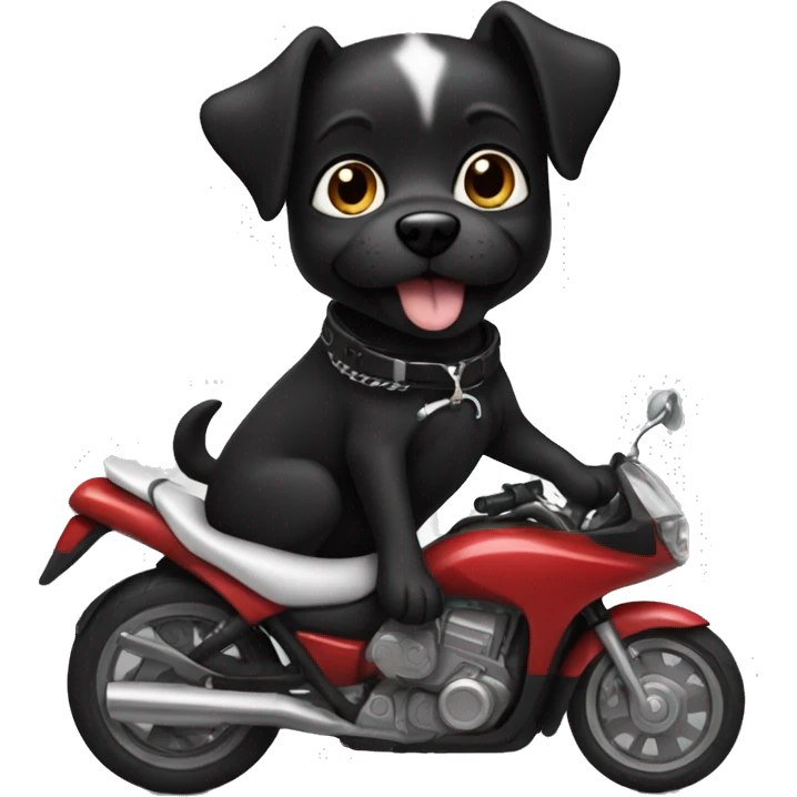 Black dog with white on her chest and toes riding a motorcycle  emoji