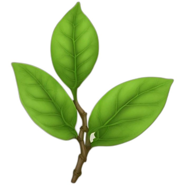 tea leaf, puerh, olachao emoji