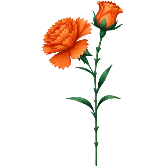 single orange carnations stem emoji