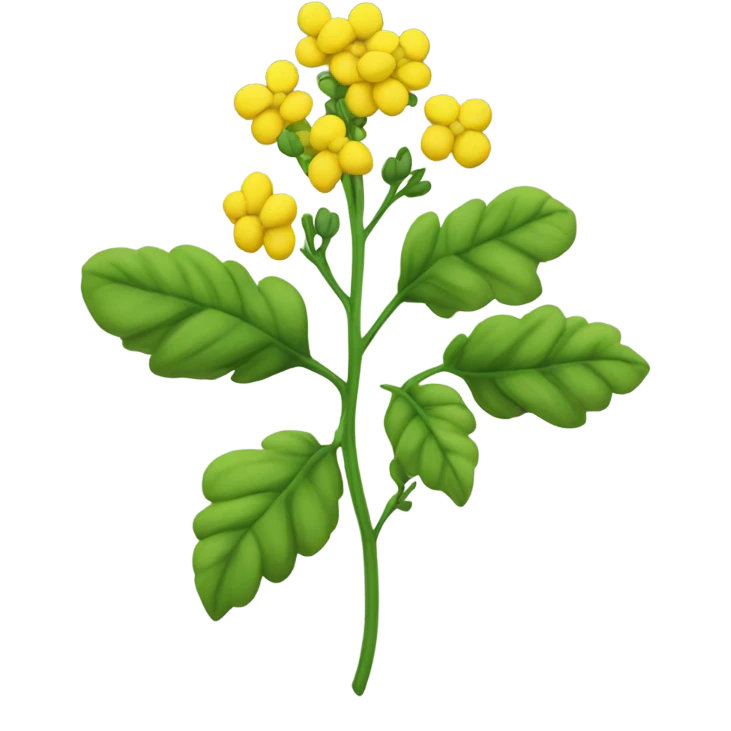Rapeseed plant  emoji