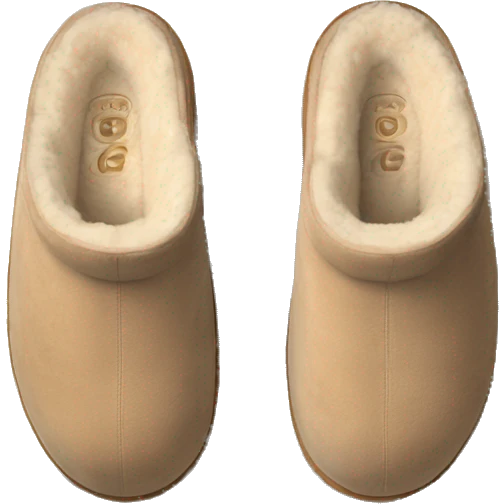 Beige Ugg slippers, from above emoji