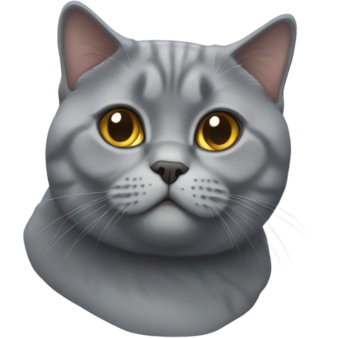 british shorthair cat emoji
