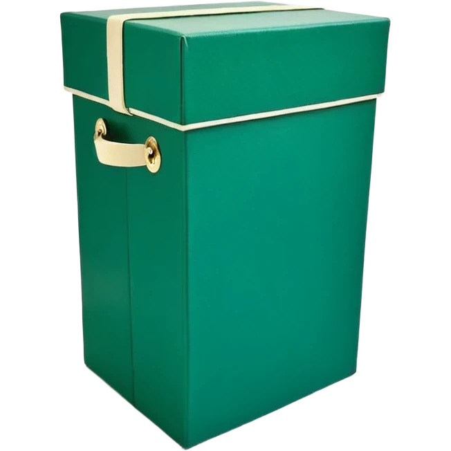 коробка для доставки светло зеленого насыщенного цвета  emoji