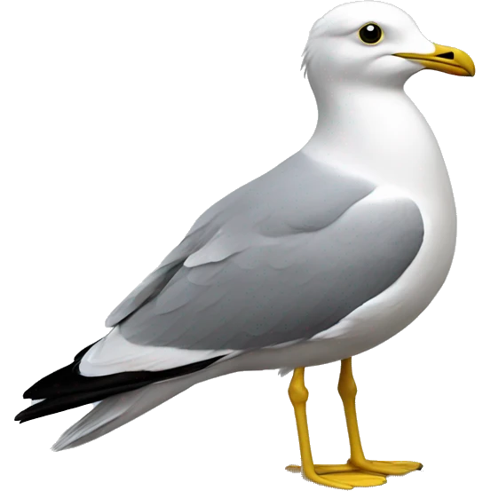 Common gull emoji