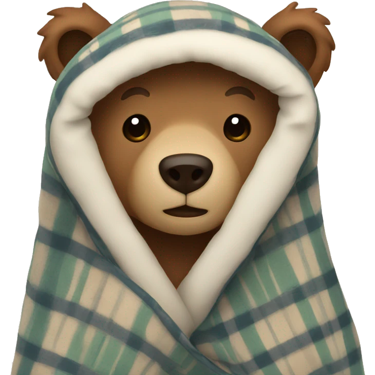 bear cozy in blanket emoji