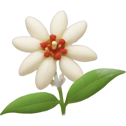 Emoji Ashwagandha flower  emoji