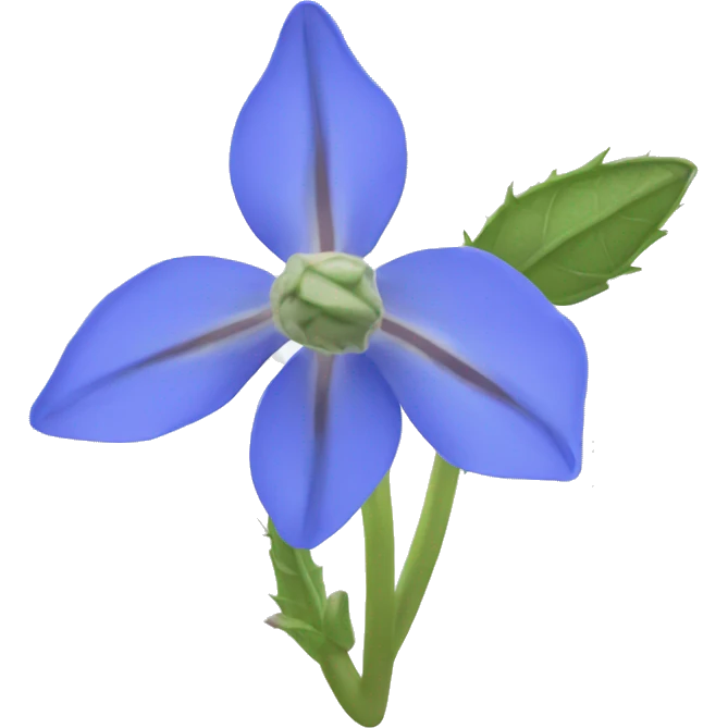 borage flower no leaves emoji