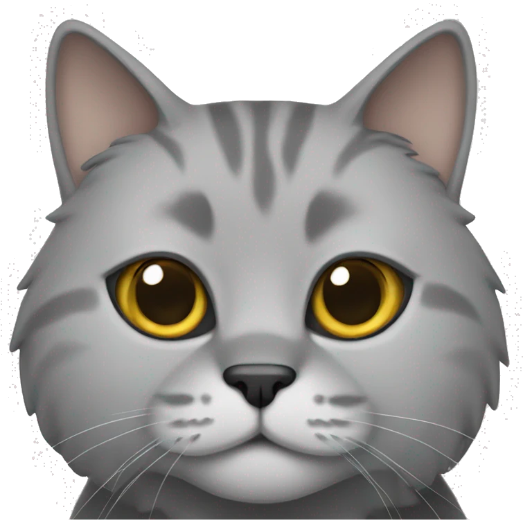 Grey Scottish cat  emoji