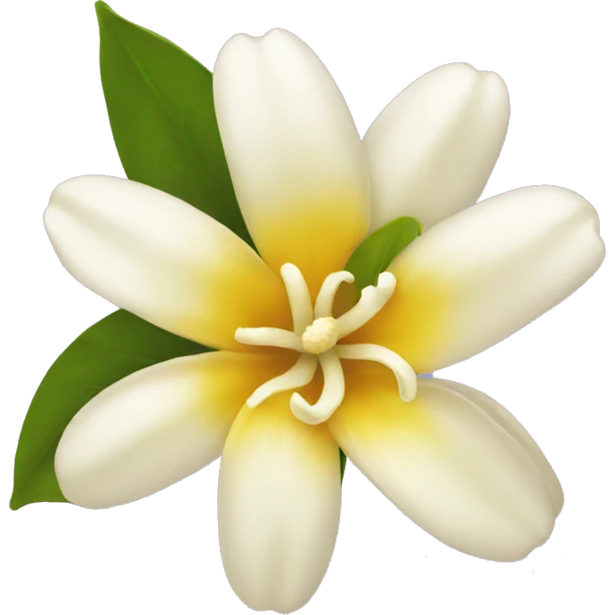 vanilla flower emoji emoji