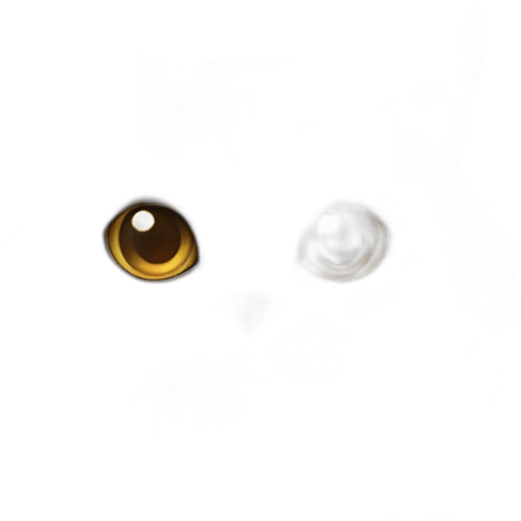 Persian cat emoji