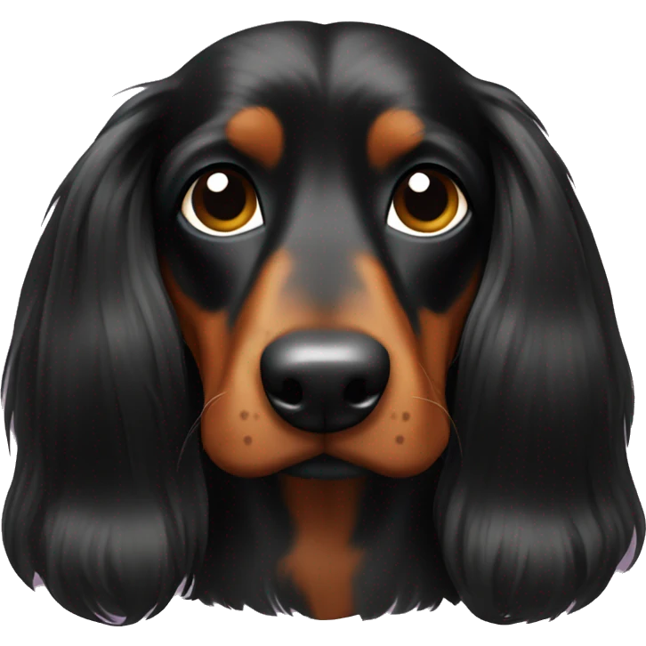 Long haired black teckel  emoji