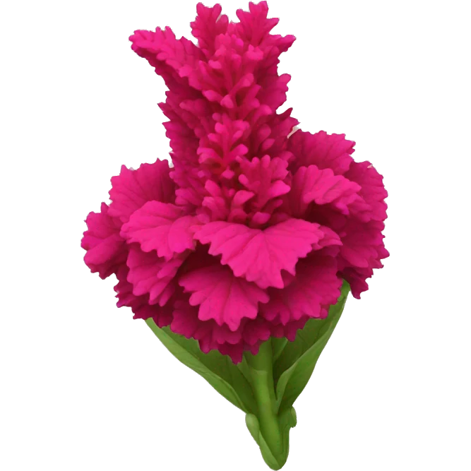 celosia flower emoji
