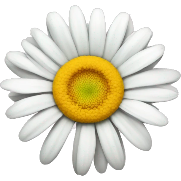 Marguerite flower  emoji