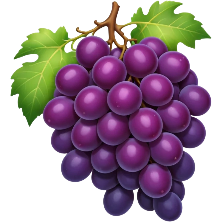 dark grapes emoji