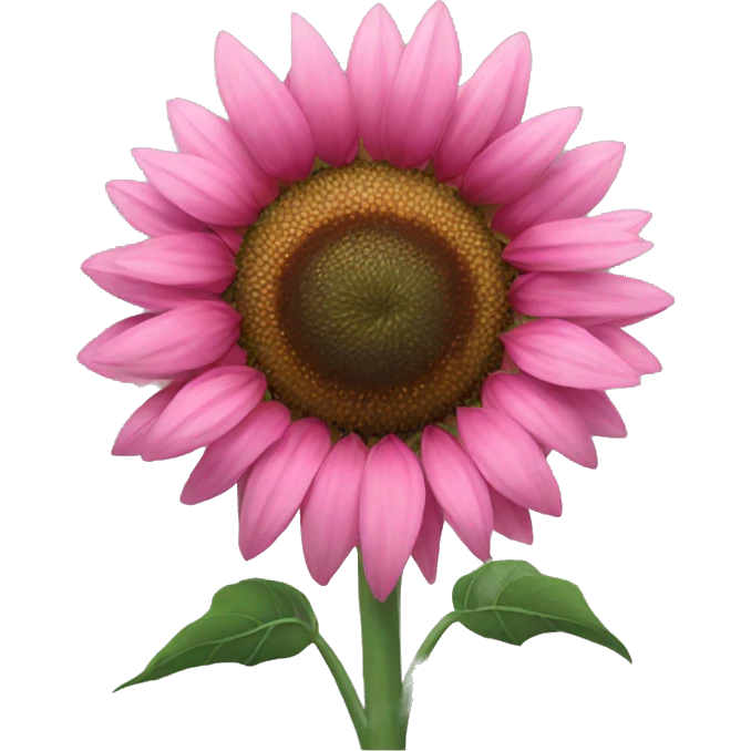 Pink sunflower emoji