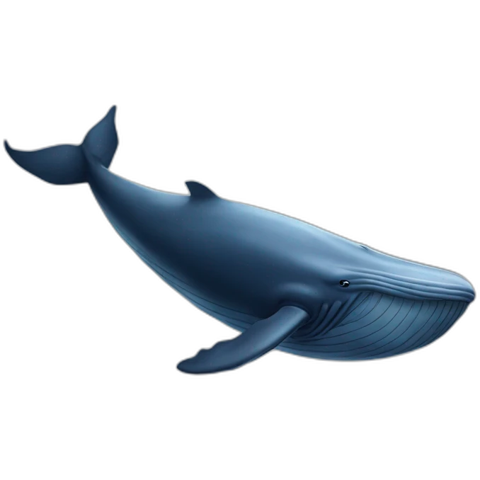 a enormous whale emoji