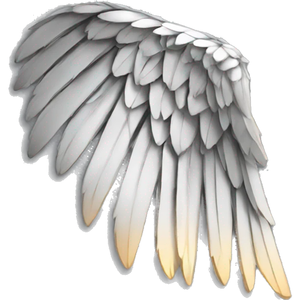 Wing foil  emoji