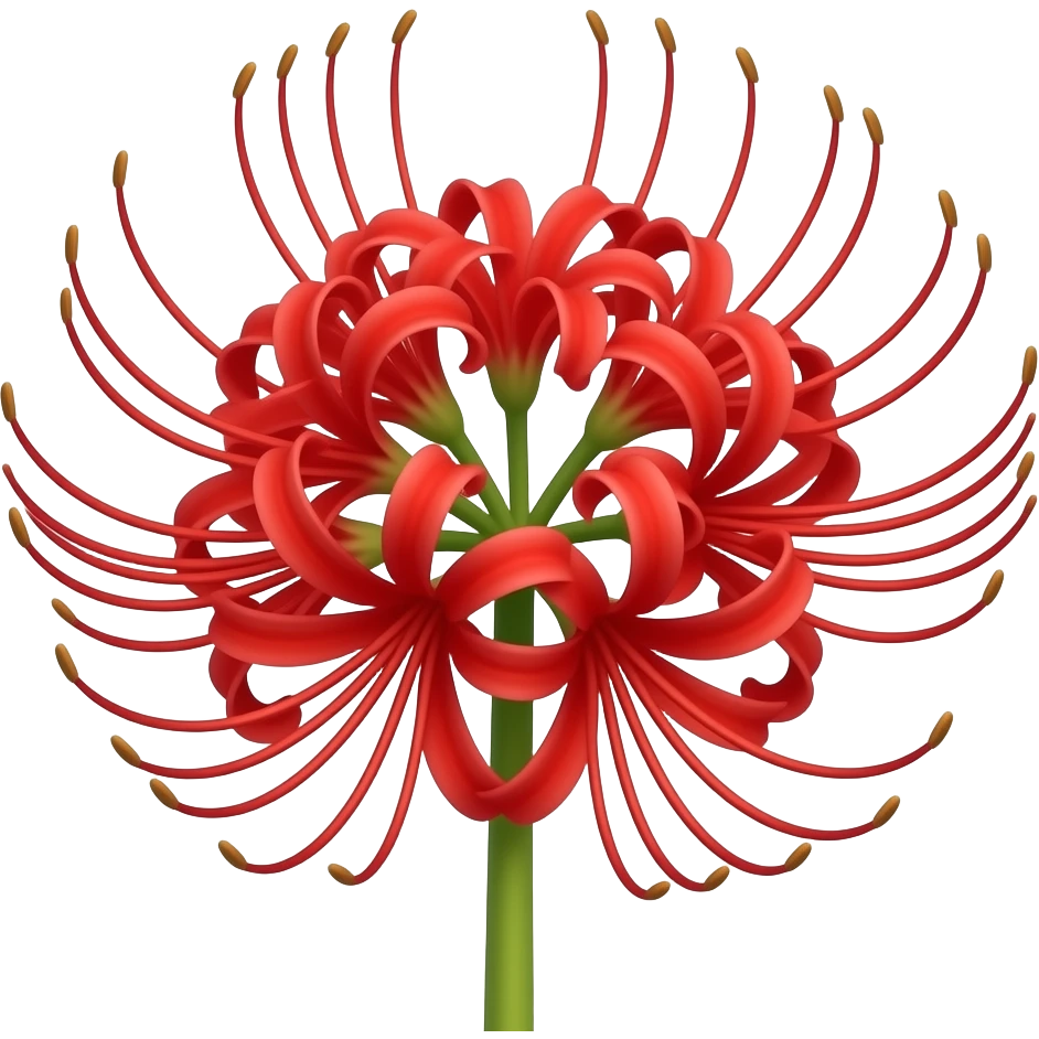 Lírio aranha vermelho emoji