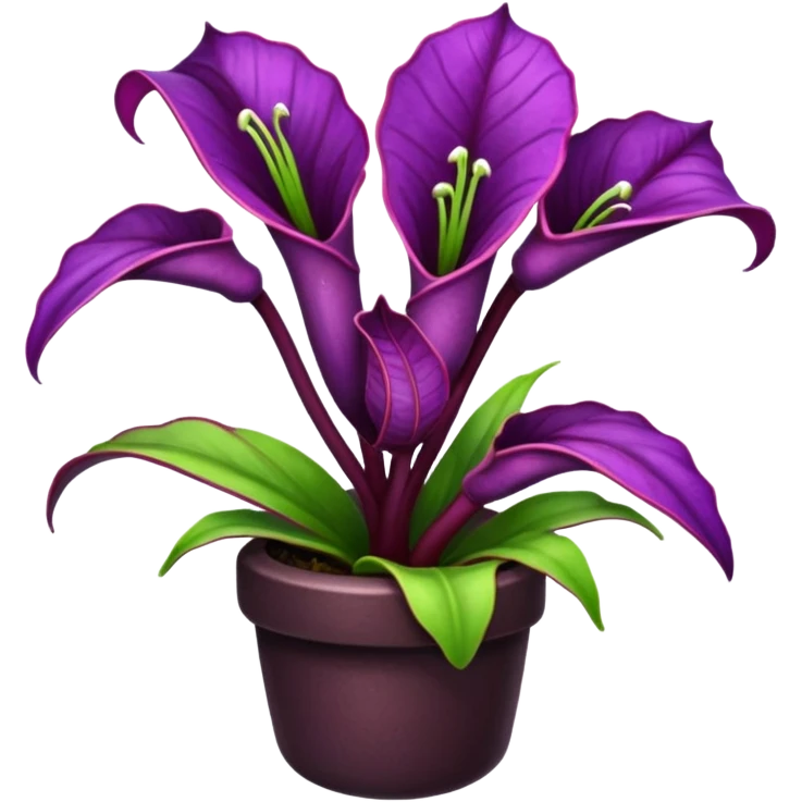 Purple Saracenia  emoji