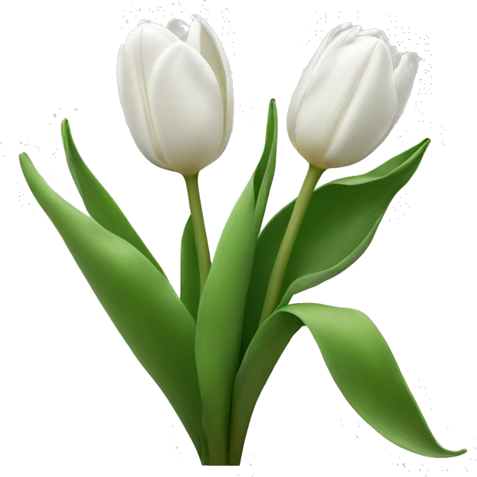 White tulips  emoji