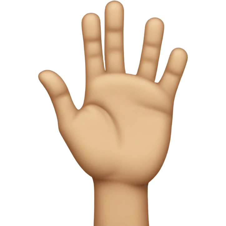 pinch hand  emoji