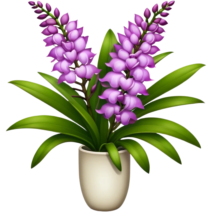 super big bouquet Rhynchostylis Orchid, stem, leaf emoji