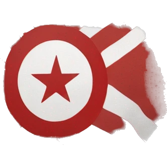  flag of the east turkemenistan emoji
