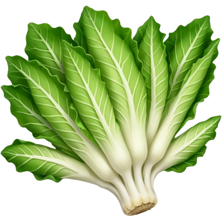 green blegian endive radicchio emoji