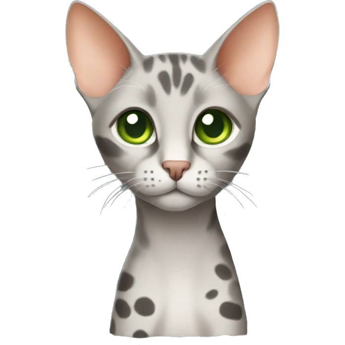 Short-haired oriental cat ,full body , grey coat with spots , green eyes , terracotta nuzzle emoji