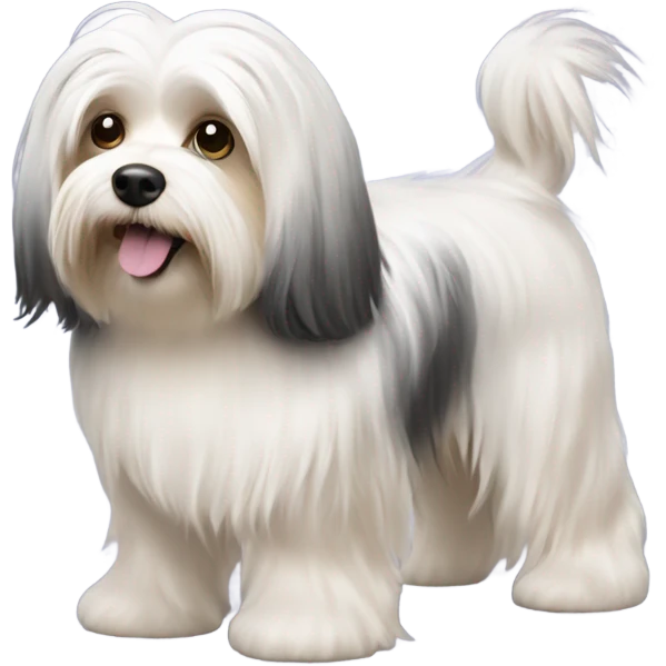 havanese dog walk with long hair all the way down to the feet emoji