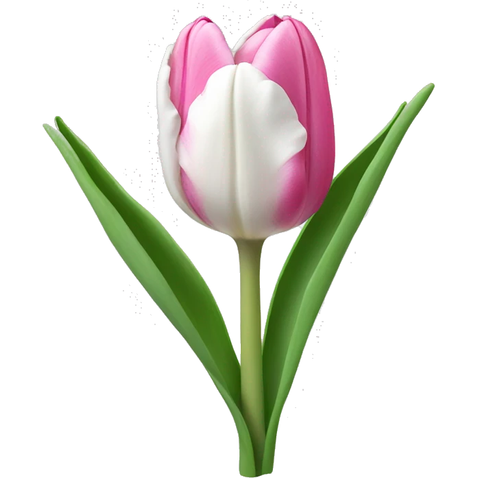 Pink and white tulip emoji