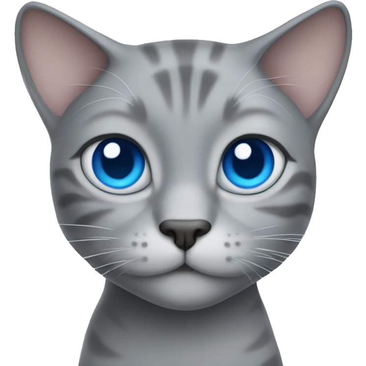 two grey cats with blue eyes  emoji