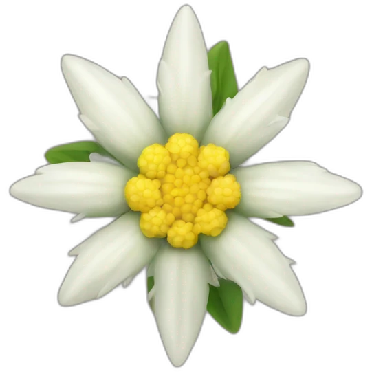 Edelweiss emoji