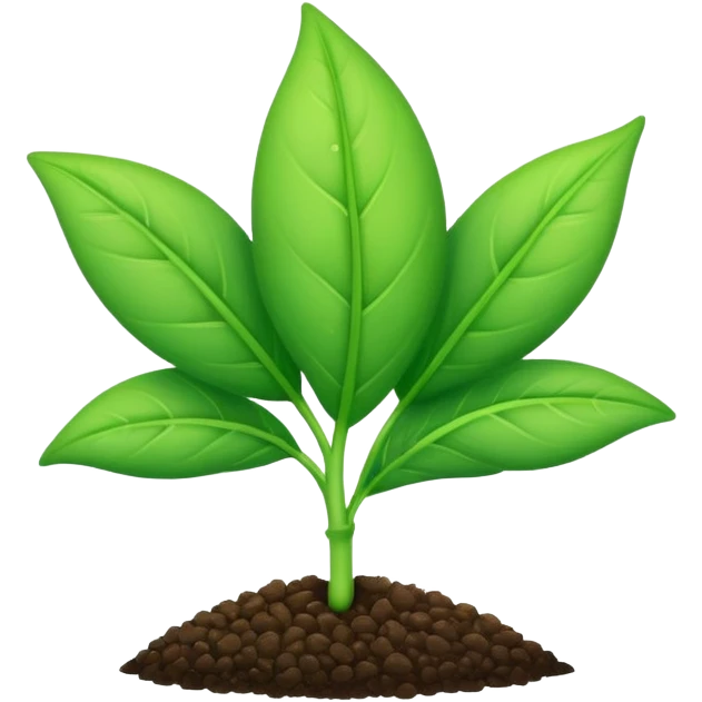 young shoot emerging from its seed emoji