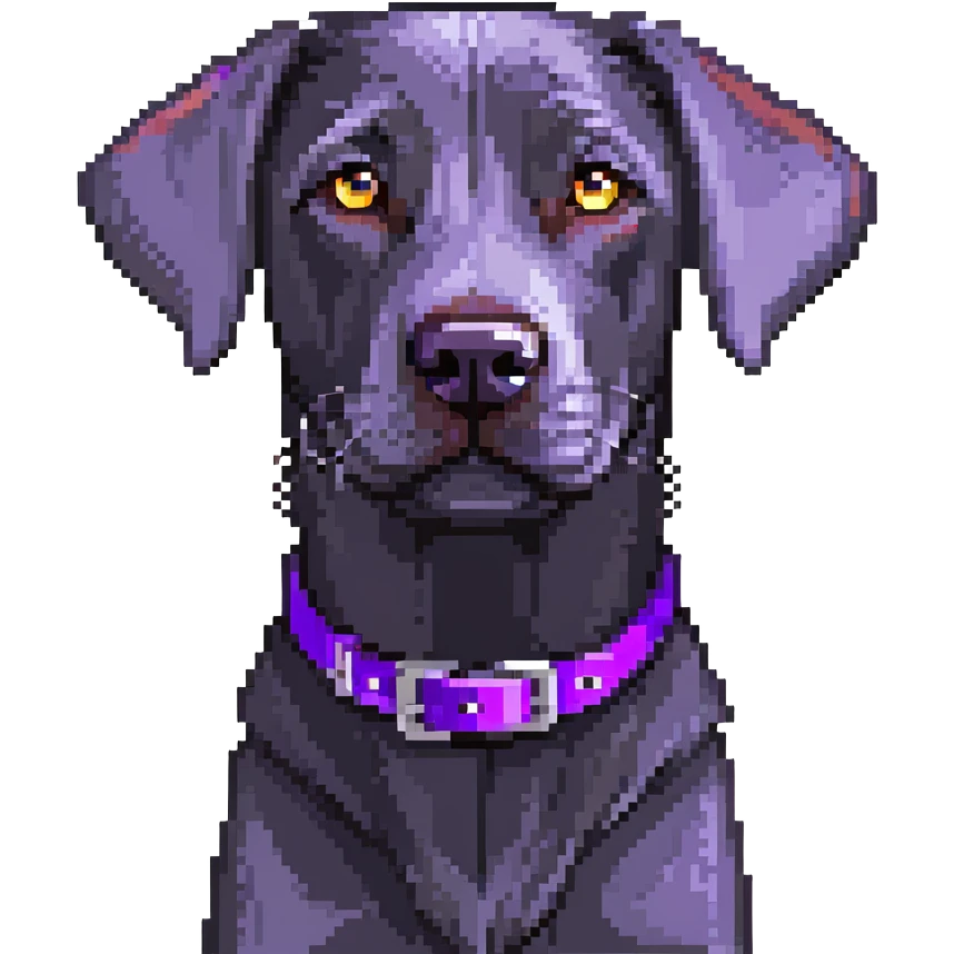 black labrador with floppy ears and a purple collar emoji