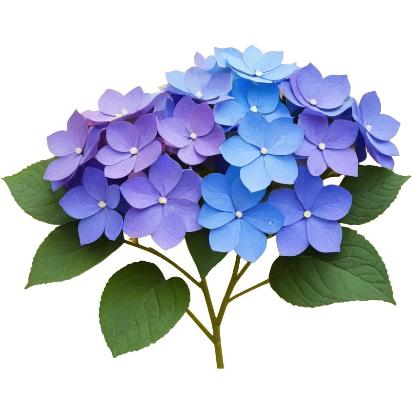 Traditional Japanese hydrangea (ajisai) flower with refined aesthetic, subtle color transitions from blue to purple, gentle raindrops, and washi paper texture background emoji