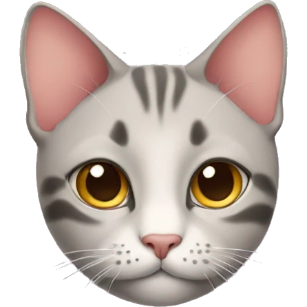 cat in love  emoji