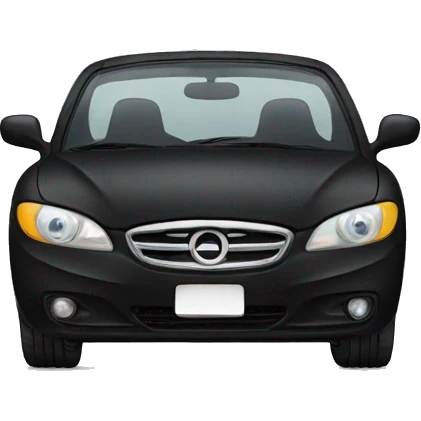 Cat in a black car emoji