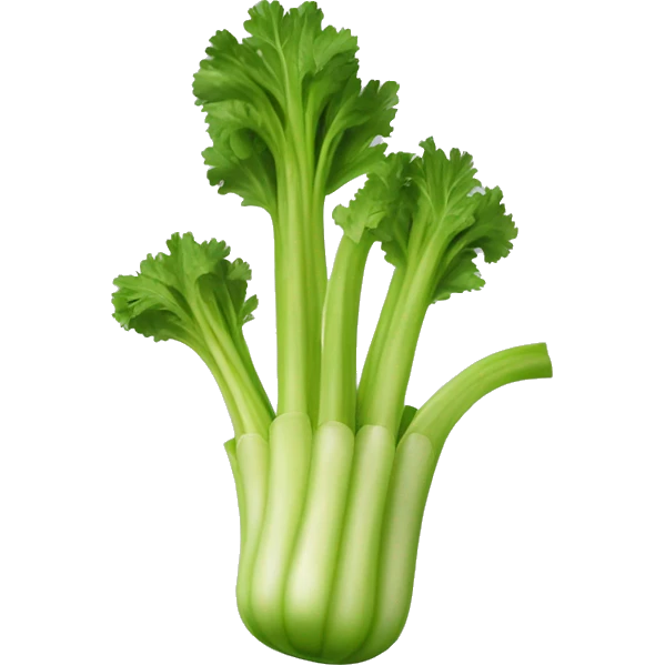The vegetable celery as a handbag emoji