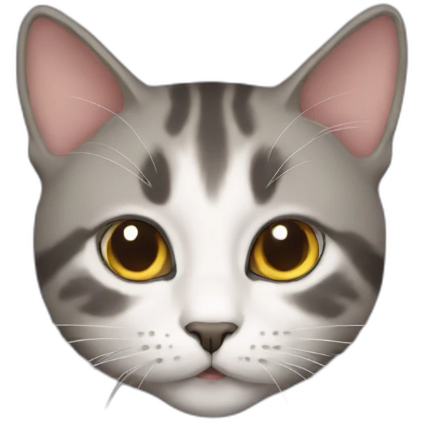nova cat emoji