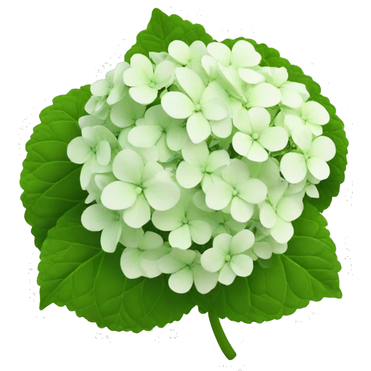 hydrangea emoji