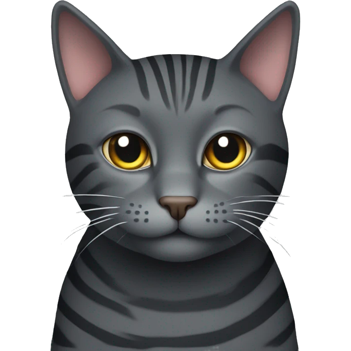 dark grey cat with stripes  emoji