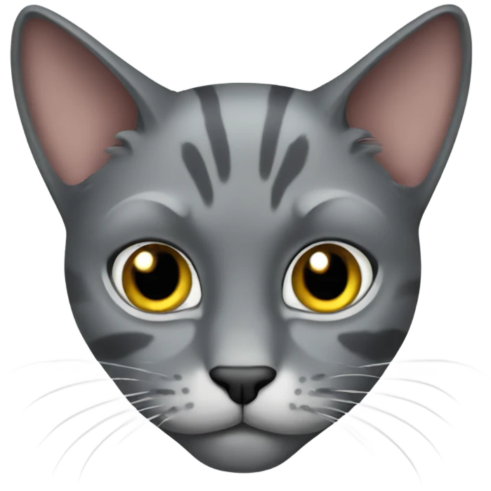 pirate gray cat emoji
