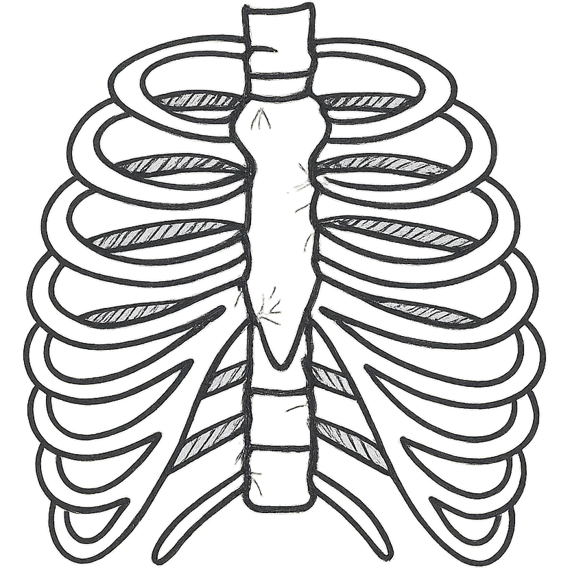 hand drawn outline icon of skeleton ribs emoji