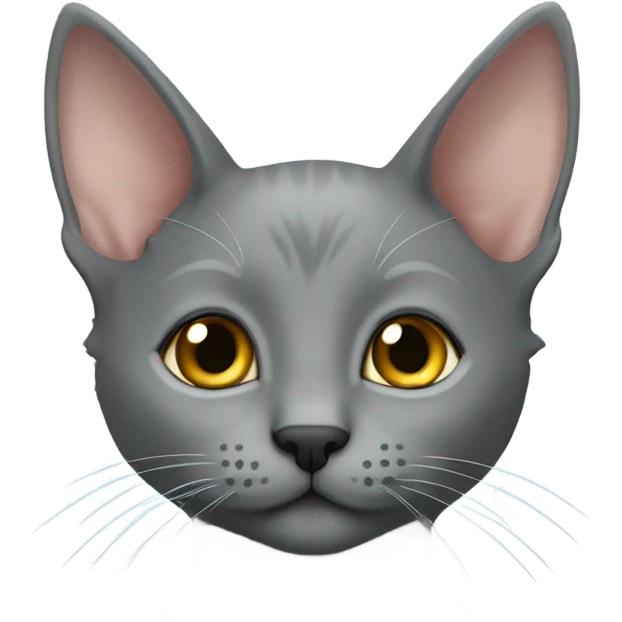 grey korat kitten with a fur mohawk on nose emoji