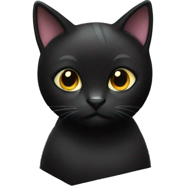 Black cat in box emoji